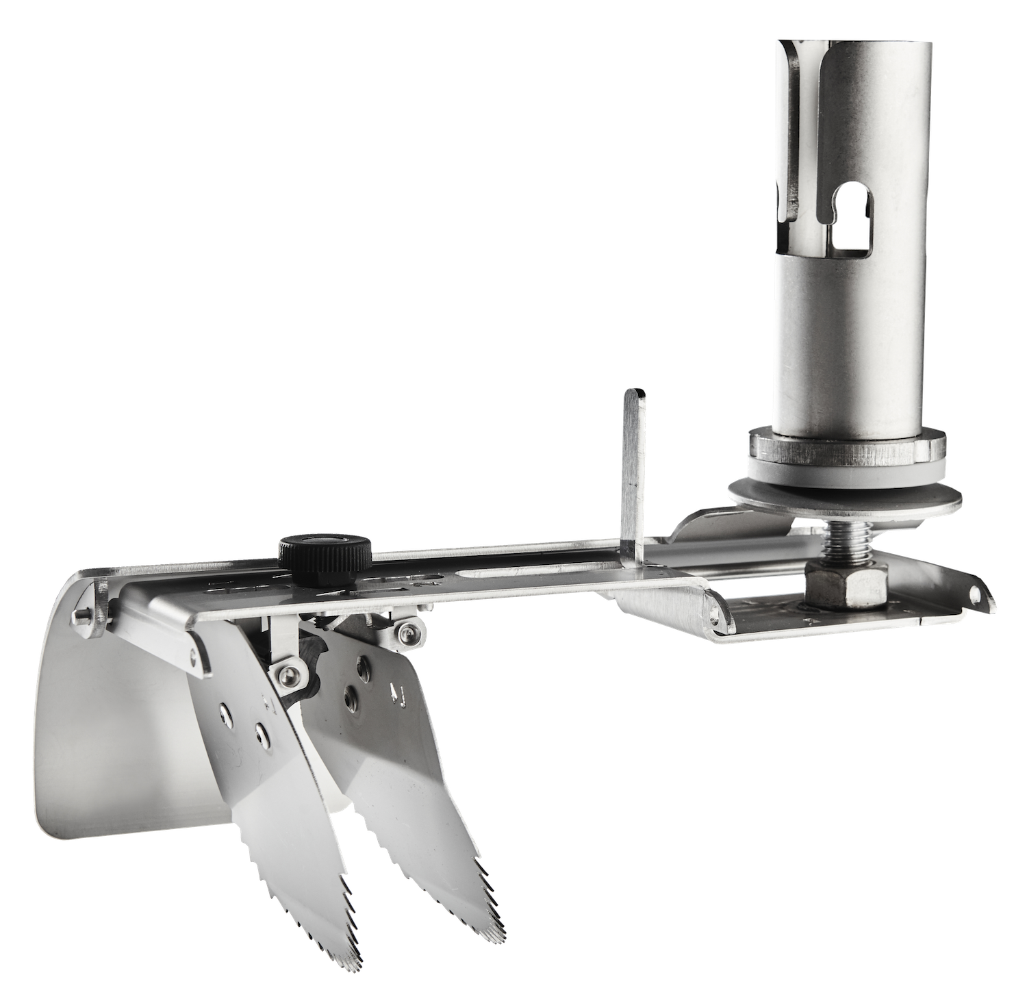 Rattenklappe Bild freigestellt